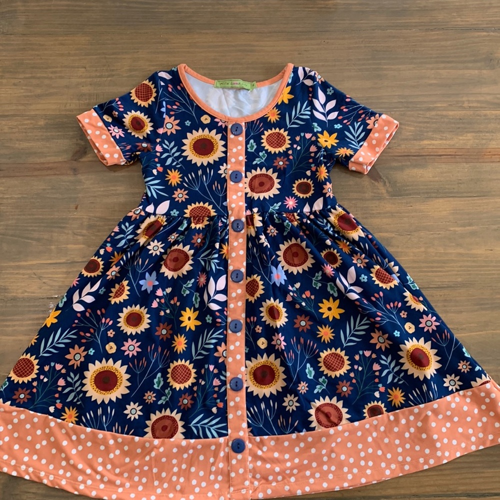 Millie Loves Lily fall dress. Size 6.